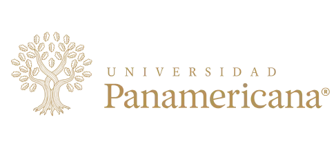 logo-upanamericana